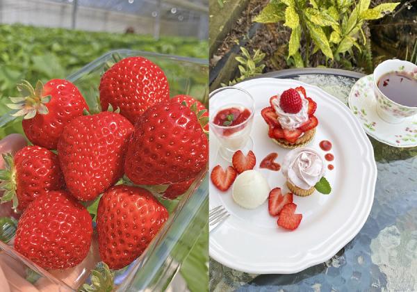 【福岡県助成金付】母の日企画♪ お母さんありがとうバスツアー in 久留米・筑後3